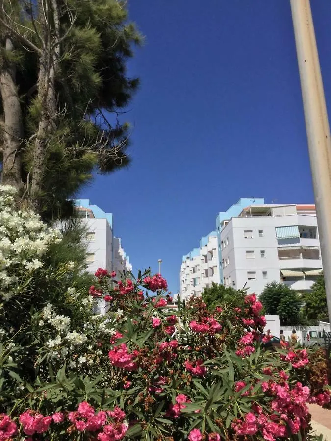 La Perla Azul Playa - Terraza Al Sol Διαμέρισμα Ροκέτας ντε Μαρ